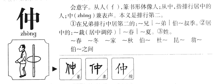 仲字五行属什么-仲字起名的寓意-仲字意思