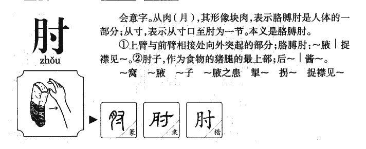 肘字五行属什么-肘字起名的寓意-肘字意思