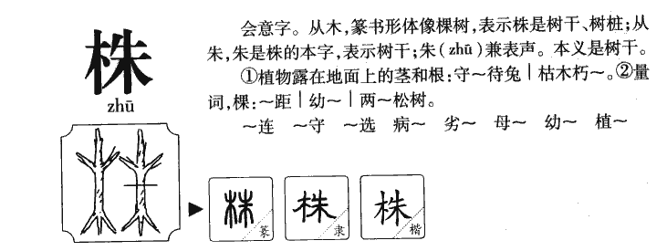 株字五行属什么-株字起名的寓意-株字意思