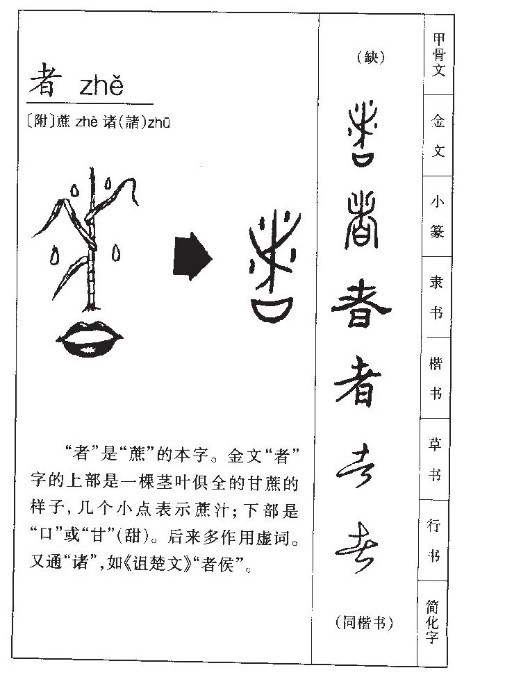 者字五行属什么-者字起名的寓意-者字意思