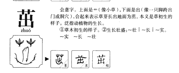 茁字五行属什么-茁字起名的寓意-茁字意思