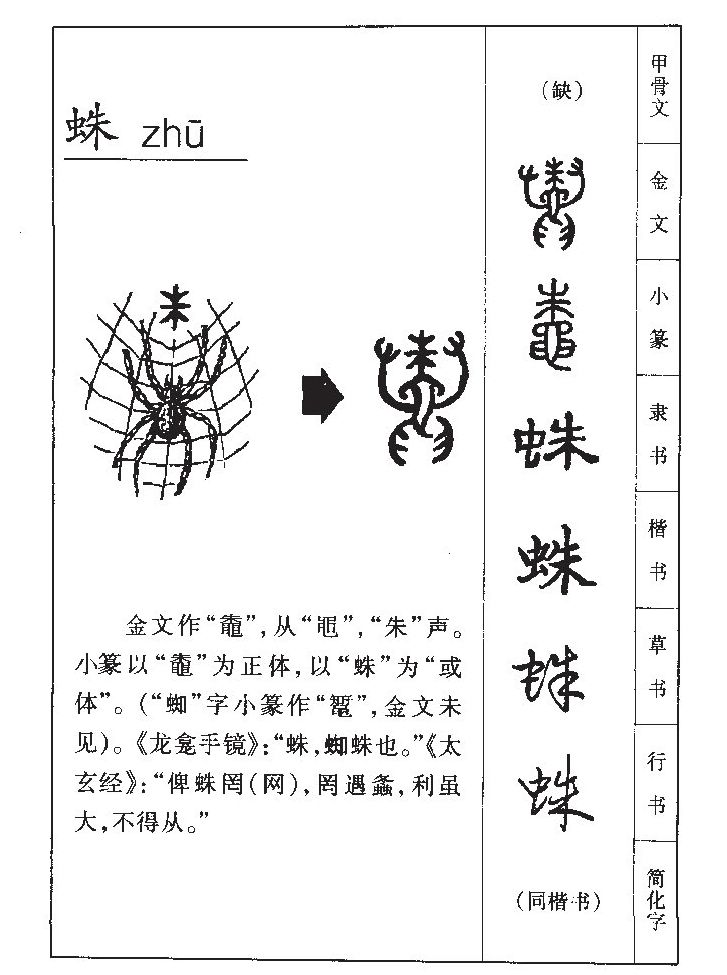 蛛字五行属什么-蛛字起名的寓意-蛛字意思
