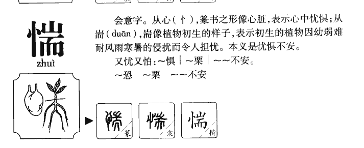 惴字五行属什么-惴字起名的寓意-惴字意思