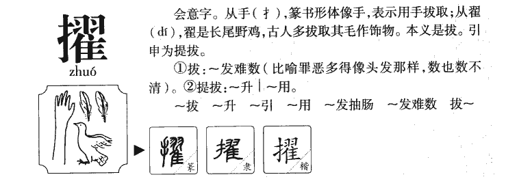 擢字五行属什么-擢字起名的寓意-擢字意思