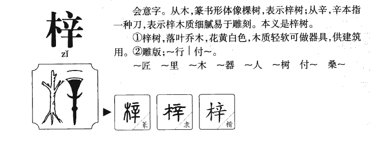 梓字五行属什么-梓字起名的寓意-梓字意思