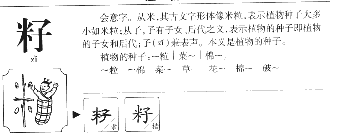 籽字五行属什么-籽字起名的寓意-籽字意思