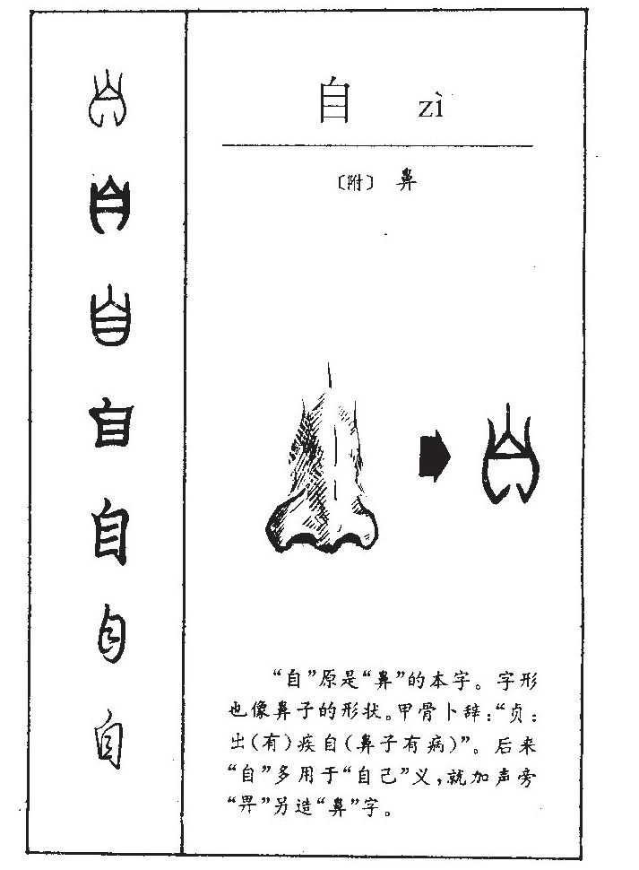 自字五行属什么-自字起名的寓意-自字意思