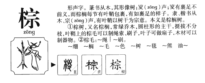 棕字五行属什么-棕字起名的寓意-棕字意思
