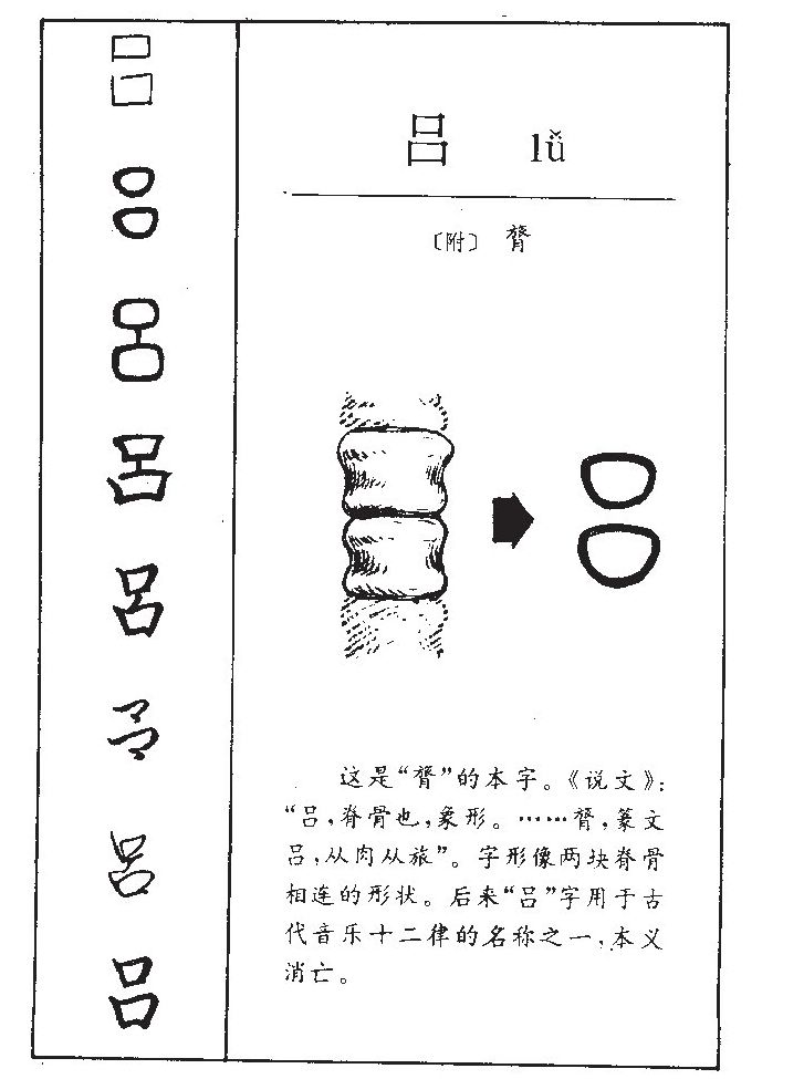 吕字五行属什么-吕字起名的寓意-吕字意思