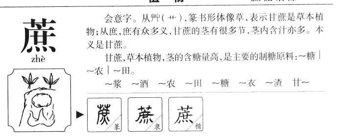 蔗字五行属什么-蔗字起名的寓意-蔗字意思